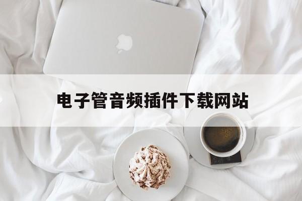 电子管音频插件下载网站_电子管音乐播放器